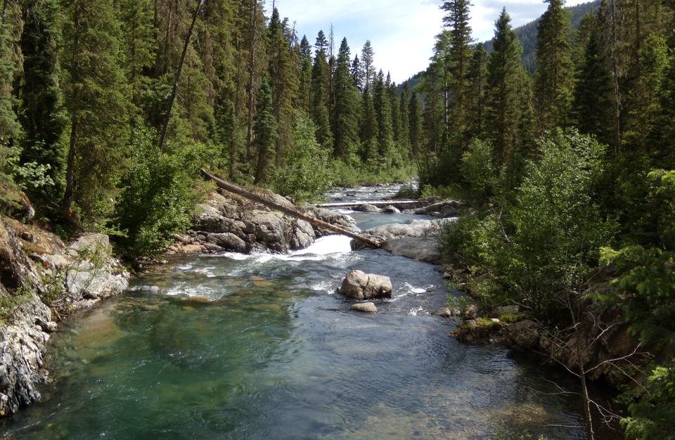 The first footbridge on the Vallecito Creek Trail above the lake