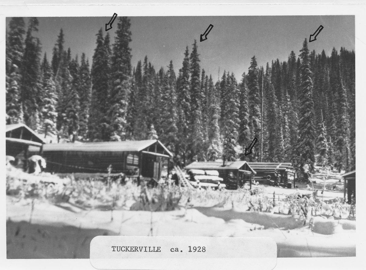 Black-and-white 1928 photograph of Tuckerville in winter — several log buildings and log piles under snow, dark spruce forest behind, with hand-drawn Forest Service survey arrows on four trees