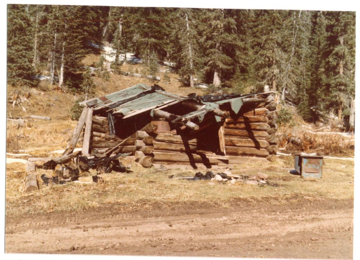 Color photograph of a partially collapsed green-roofed log cabin beside a dirt road at the Tuckerville road-end, forested slope behind