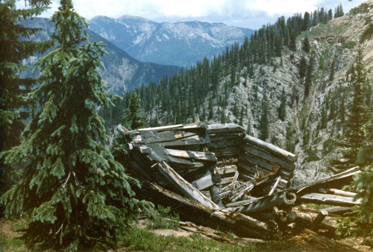 Color photograph of a collapsed log structure at the Tuckerville mine workings, high on a forested bench above a rocky gorge with San Juan peaks in the distance
